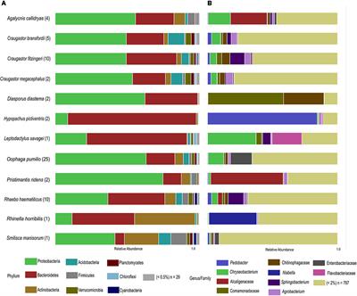 Assessment of Bacterial Communities Associated With the Skin of Costa Rican Amphibians at La Selva Biological Station